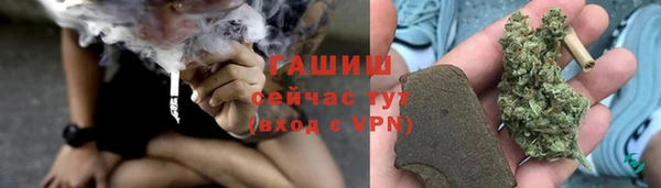 сатива Армянск