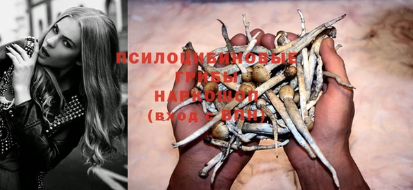 сатива Армянск