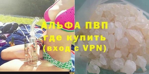 сатива Армянск