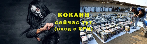 сатива Армянск