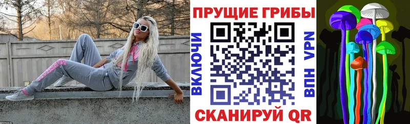 как найти   Луза  Псилоцибиновые грибы Psilocybe 